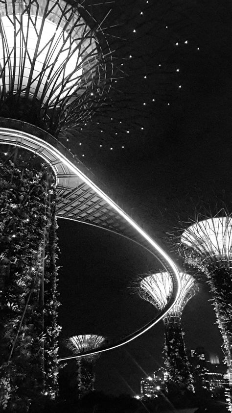 Garden by the Bay - Singapore    black & white Singapore Black And White, Singapore Flag, Singapore Garden, Photography Shoot, Gardens By The Bay, Cute Simple Wallpapers, Black Wallpaper Iphone, Black And White Wallpaper, Black And White Aesthetic