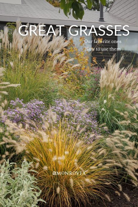 Layer Landscape Design, Garden Grasses Border, Native Grass Garden, Grasses Garden Landscaping, Front Yard Grass Landscaping, Wild Grass Garden, Best Grasses For Landscaping, Dune Grass Landscaping, Coastal Grasses Landscape Design