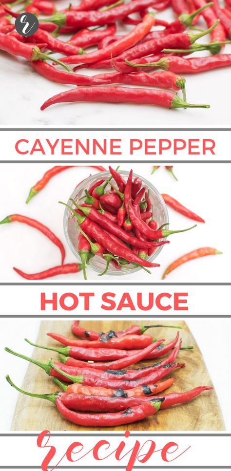 Cayenne Peppers Recipes, Pepper Juice Recipe, Cayenne Pepper Sauce Recipe, Cayenne Hot Sauce Recipe, Hot Sauce With Cayenne Peppers, Cayenne Pepper Hot Sauce Recipe, Homemade Cayenne Pepper Hot Sauce, Fermented Cayenne Pepper Sauce, Serrano Pepper Recipes Hot Sauces