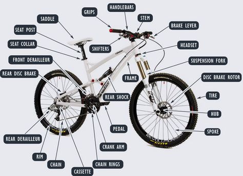 Bikes have more parts than you think. Chin Chan, Bmx Bike Parts, Mtb Parts, Mountain Bike Parts, Mountain Biking Gear, Bmx Bicycle, Cycling Tips, Bicycle Maintenance, Mtb Bike Mountain