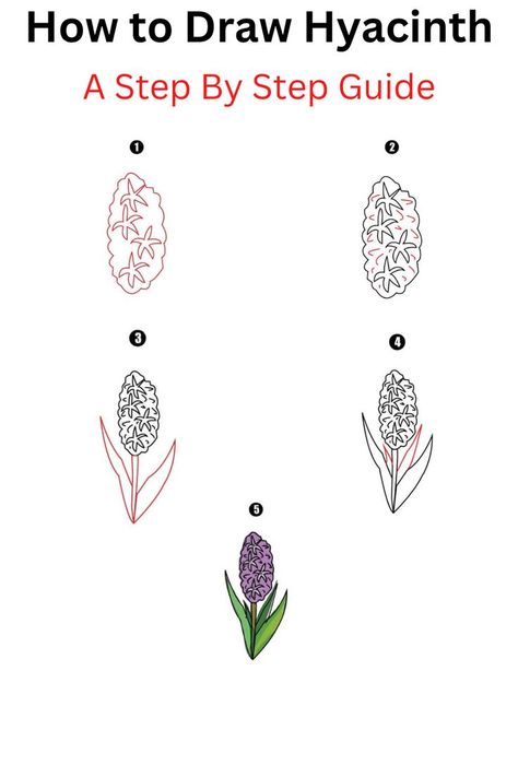 How to Draw Hyacinth Hyacinth Drawing, Cool Drawing, Boring Life, Flower Doodles, A Blessing, Flower Drawing, Nature Beauty, Cool Drawings, Watercolor Flowers