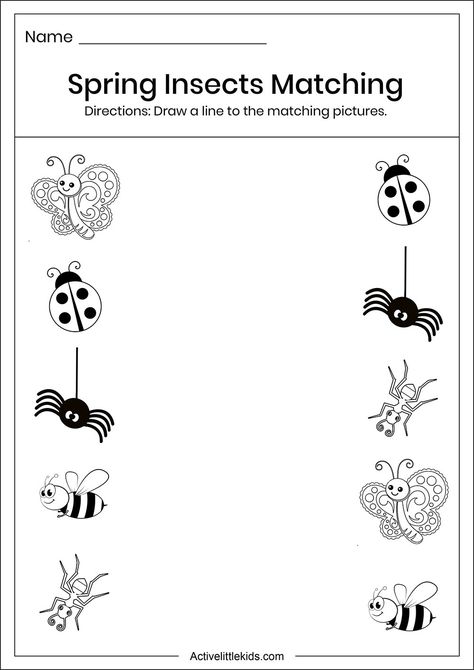 Download the free spring insects matching worksheet for preschool. Matching Worksheets For Lkg, Montessori Worksheets Preschool, Insect Theme Preschool Activities Free Printables, May Worksheets For Preschool, Spring Insects Preschool, Insects Preschool Worksheets, Spring Worksheet For Preschool, Bug Learning Activities Preschool, Insect Matching Free Printable