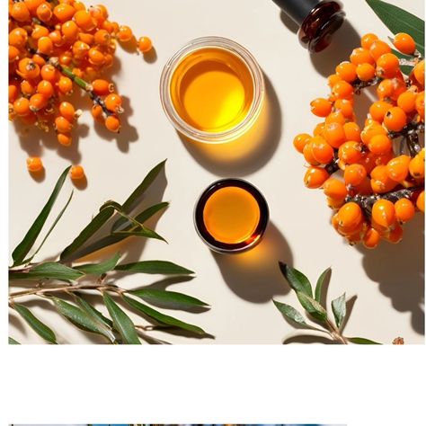 Support digestive wellness with sea buckthorn's soothing properties. Its anti-inflammatory effects, combined with its ability to promote gut health and maintain a balanced microbiome, help alleviate discomfort and enhance overall digestive function, ensuring you feel your best from the inside out. #seabuckthorn #trending #instagood #instagram #newpost Sea Buckthorn, Gut Health, Inside Out, Honey, How Are You Feeling, Health, Quick Saves, Instagram