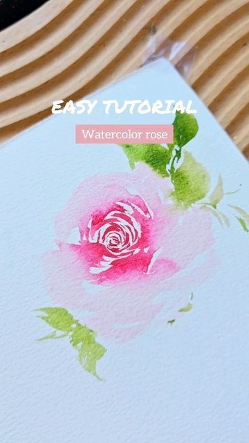 Rose Corner Border, Watercolor Rose Tutorial, Rose Artwork, Art Demonstrations, Loose Watercolor Flowers, Chinese Flower, Rose Tutorial, Sketchbook Illustration, Watercolor Tutorials