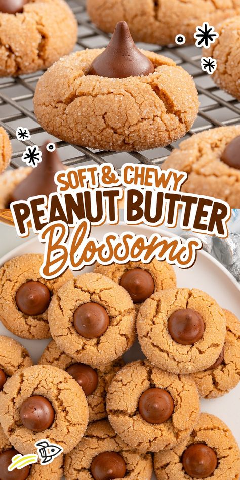 Soft with a satisfying crunch and a chocolate kiss, our peanut butter blossoms are a classic and beloved cookie. Soft Peanut Butter Blossoms, Peanuts Butter Blossoms, Peanutbutter Hershey Kisses Cookies, Peanut Butter Cookie Kisses, Peanut Butter And Hershey Kiss Cookies, Best Peanut Butter Blossoms Recipe, Best Peanut Blossom Cookies, Recipe For Peanut Butter Blossom Cookies, Chocolate Peanut Butter Blossoms