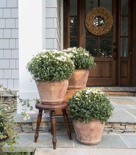 Front Porch Stone, Porch Plants, Porch Flowers, Porch Planters, Small Front Porches, Backyard Porch, Front Porch Christmas Decor Ideas, Front Patio, Porch Christmas Decor Ideas