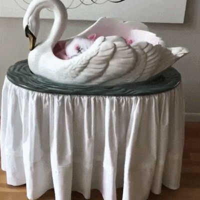 Swan Baby Cradle Wolf Room Ideas, Toddler Fever, Angel Witch, Royal Nursery, Newborn Baby Bedding, Rocking Bassinet, Rocking Cradle, Dollhouse Family, Baby Swan