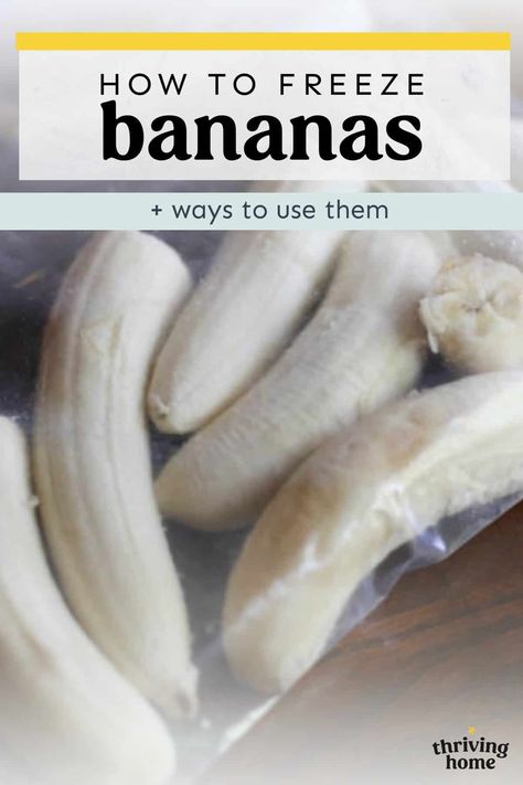 Can You Freeze Bananas? | Tips and Tricks - Thriving Home Freezing Bananas, Blueberry Muffin Smoothie, Thriving Home, Blender Muffins, Banana Treats, Banana Chocolate Chip Muffins, Healthy Meals To Cook, Blender Recipes, Pumpkin Chocolate Chips