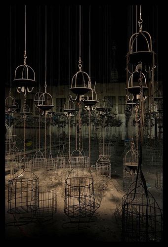 Birdcage factory... so fantastic and eerie Birdcage Aesthetic, Human Cage Aesthetic, Mechanical Horror, Cage Aesthetic Dark, Birdcage Aesthetic Dark, A Bird In A Covered Cage Aesthetic, Fish Inside A Birdcage, Gothic Birdcage, Book Locations