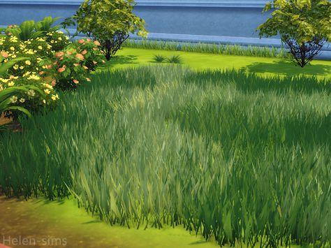 Beach Grass, The Sims 3, Sims 4 Game, Sims 4 Mods, Sims 3, The Sims 4, Sims Cc, The Sims, Sims 4