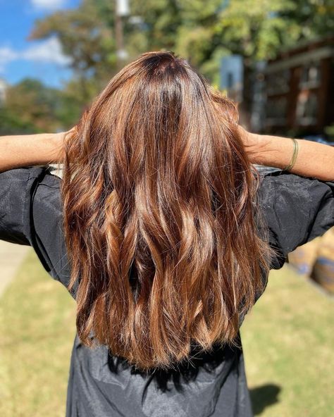 30+ Chestnut Hair Ideas & Unique Chestnut Shades for 2023 Chestnut Hair Dye, Long Wavy Curls, Holiday Hair Color, Feminine Colors, Auburn Color, Chestnut Hair, Chestnut Hair Color, Latest Short Haircuts, Wavy Curls