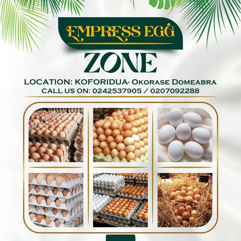 Egg Flyer Design, Egg Business, Flyer Design Ideas, Food Background Wallpapers, Free Flyer Design, Facebook Ads Design, Egg Shop, Eggs For Sale, Flyers Design