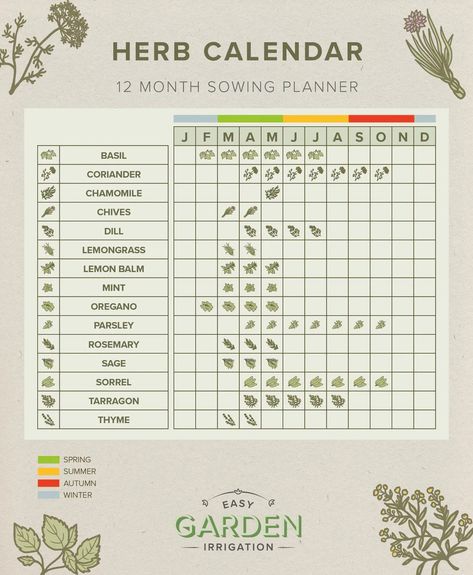 Herb Planting Calendar, Tarragon Plant, Seed Starting Calendar, Herb Planting, Home Farming, Growing Calendar, Chamomile Plant, Garden Outdoor Ideas, Planting Calendar