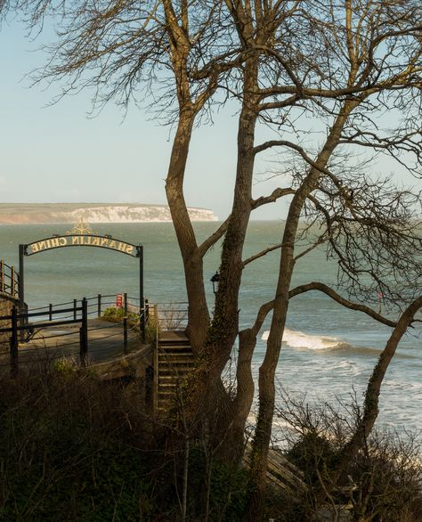 Isle Of Wight Shanklin, Descendants Isle Of The Lost, Shanklin Isle Of Wight, Isle Of Wight Beach, I Miss Home, District 4, Isle Of The Lost, Where To Live, Trees Landscape