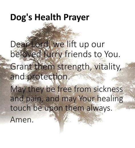 Prayer For Sick Dog, Fur Baby Quotes, Prayer For Health, Meaningful Love Quotes, Funny Baby Quotes, Animal Print Outfits, Sick Dog, Healing Touch, Baby Quotes