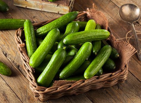 Cucumber Canning, Vegetable Plants, Mini Cucumbers, Cucumber Plant, Cucumber Seeds, Growing Cucumbers, Persian Cucumber, Planting Vegetables, Low Calorie