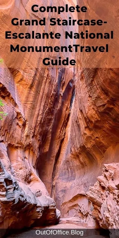 Make the most of your trip to Grand Staircase-Escalante National Monument with this ultimate travel guide for first timers. Plan your visit including when to visit, where to stay, what to eat, things to do, best tours, top attractions. #GrandStaircaseEscalanteNationalMonument | Burr Trail | Devil’s Garden | Grosvenor Arch | Hell's Backbone | Singing Canyon | Long Canyon | Cedar Wash Arch | Escalante Natural Bridge | Lower Half Calf Creek Falls | Cosmic Ashtray | Zebra Slot Wild Landscape, Slot Canyons, Grand Staircase Escalante, Escalante National Monument, Travel Secrets, Natural Bridge, Travel Blogging, National Parks Trip, Blogger Tips