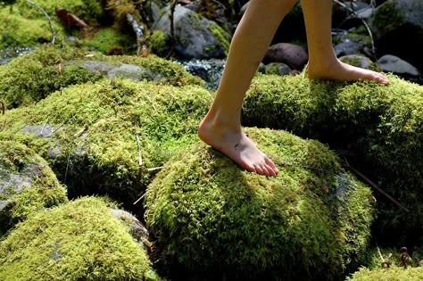 Moss Covered, Foto Art, Captain Hook, Aang, Avatar The Last Airbender, The Last Airbender, Mother Earth, Studio Ghibli, Mother Nature