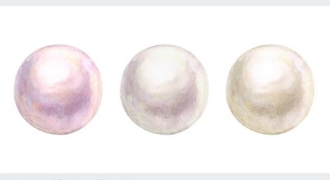 Watercolor Pearl, Natural Watercolor, Shell Drawing, Pearl Paint, Anime Eye Drawing, Pearl Set, Anime Eyes, Eye Drawing, Painting & Drawing