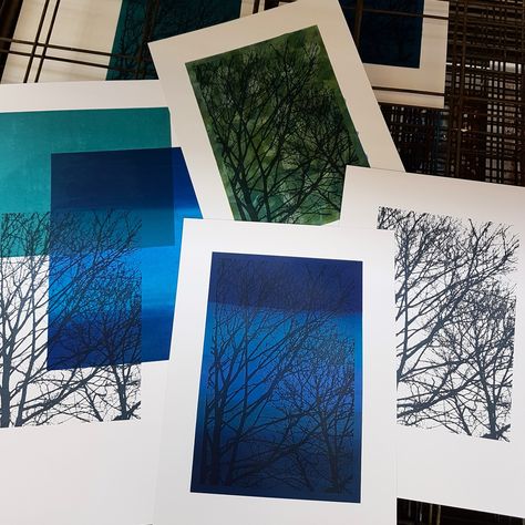 Beginning to create new samples for a one day introduction to screenprint workshop at West Horsley Place. Using pre-exposed imagery and apertures on the silkscreen I'll be teaching how to manage a squeegee, pull prints, layer imagery to create different compositions and how to clean the silkscreen after printing. #ofprintthreadandrust #screenprinter #screenprint #screenprinting #screenprinted #silkscreen #silkscreenprinting #monoprint #monoprints #monoprinting #westhorsley #westhorsleyplac... Photo Emulsion Screen Printing, Screen Printer, Work Gifts, Screenprinting, Monoprint, Silk Screen Printing, Printmaking, One Day, Screen Printing