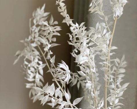 FlowerwoodSupply - Etsy White Tables, Italian Ruscus, Pampas Grass Bouquet, Glam Living, White Italian, Glam Living Room, Sympathy Flowers, Blue Bunny, Boho Farmhouse