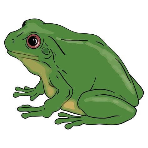 Cute Green Frog, Frog Clipart, Frog Sitting, Frog Pictures, Green Frog, Graphic Design Resources, Banner Template, Design Resources, Banners