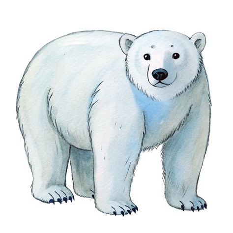 Cute Polar Bear Cute Polar Bear Drawing, Polar Bear Clipart, Polar Bear Images, Polar Bear Drawing, Polar Bear Cartoon, Polar Bear Illustration, Birds Clipart, St Luke, Polar Animals