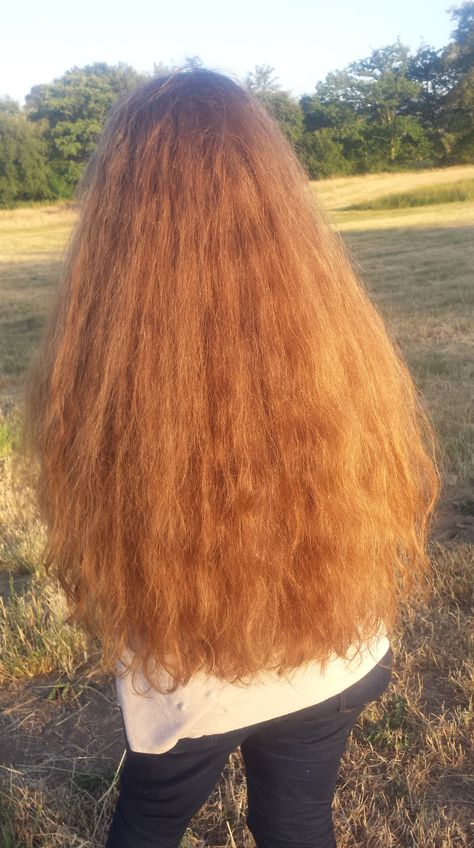 Wild Curly Hair, Long Straight Ponytail, Long Hair Ponytail, Story Planning, Straight Ponytail, Open Hairstyles, Beautiful Curly Hair, Long Red Hair, Hair Model