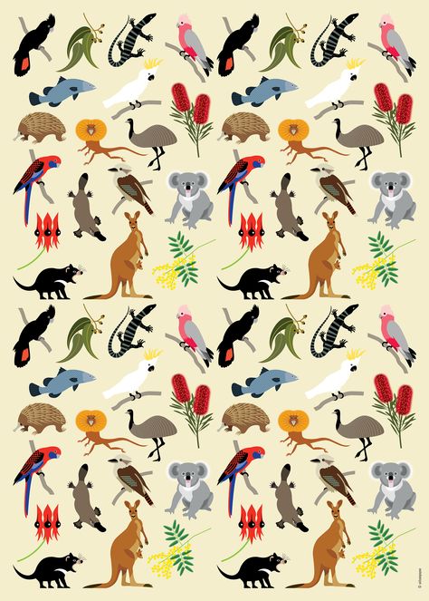 AUSSIE WILDLIFE | Ilustraciones, Animales, Australianos . #Australian_Possum_Tattoo #Australian_Flora_Art #Australian_Animals_Illustration #Australia_Embroidery Australian Wildlife Art, Australian Animals Illustration, Australian Illustration, Australia Illustration, Australia Culture, Australia Wildlife, Zoo Logo, Australia Tattoo, Golden Wattle