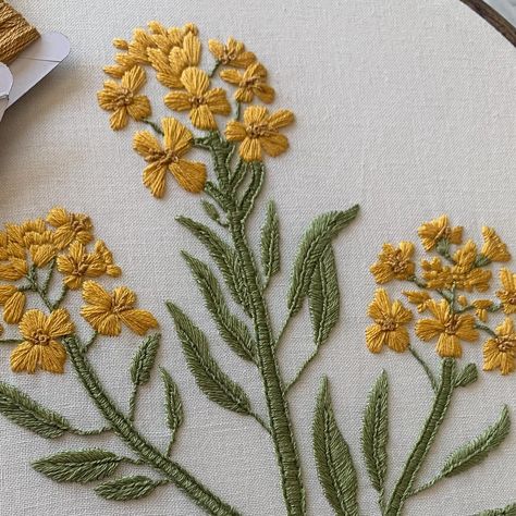 Today I’m thinking a lot about my grandpa, who we lost one year ago. My grandpa was incredibly loving, and he was always so proud of his family. My grandpa loved the passage in the Bible about the power of the mustard seed. I created this mustard flower design with him in mind, and as I stitch one of these pieces today I’ll keep him in my thoughts. ❤️ . . . #embroidery #embroideryart #handembroidery #handembroideryart #modernembroidery #floralembroidery Botanical Embroidery, Mustard Flowers, One Year Ago, Hand Embroidery Art, Modern Embroidery, Mustard Seed, Flower Embroidery, Saint Paul, Custom Embroidery