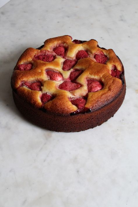 Ricotta Olive Oil Cake with Strawberries – Cake On My Face Ricotta Olive Oil Cake, Strawberries Cake, Cake With Strawberries, Strawberry Almond, Ricotta Cake, Oil Cake, Olive Oil Cake, Olive Oils, Strawberry Cakes