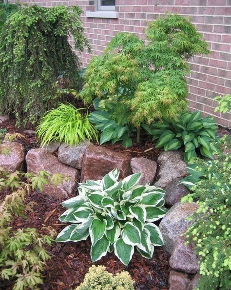 Small Yard Garden, Yard Garden Design, Texture Ideas, Front Yard Design, Front Landscaping, Garden Design Ideas, Small Yard, Yard Design, Landscaping With Rocks