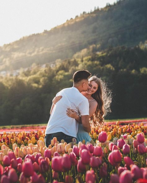 Tulip Engagement Photoshoot Tulip Photoshoot, Texas Tulips, Photoshoot Field, Spring Picture Ideas, Couple Photoshoot Outfits, Farm Photoshoot, Farm Engagement Photos, Amsterdam Tulips, Photoshoot Reference