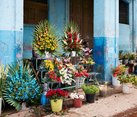 Cuban Flowers, Street Flowers, Cuban Restaurant, Cuba Photos, Visit Cuba, Havana Nights, Party Stuff, Garden Party, Havana