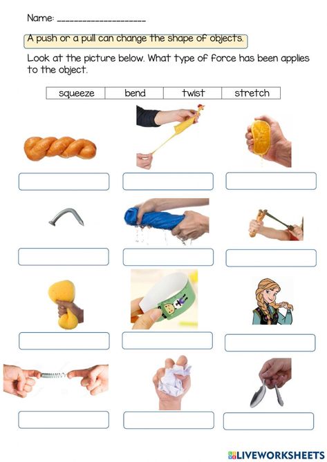 Changing Materials Science Worksheet, Shape Worksheet, Force Activities, Computer Lab Lessons, Shape Language, Adverbs Worksheet, Human Body Worksheets, First Grade Reading Comprehension, Division Worksheets