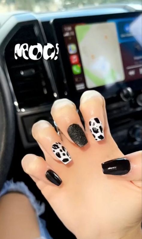 Short Western Nails, Punchy Western Nails, Punchy Nails, Country Acrylic Nails, Rodeo Nails, Cowboy Nails, Western Nails, Country Nails, Cow Nails