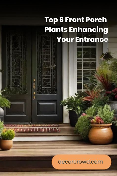 Front porch with a variety of potted plants enhancing the entrance, showcasing decorative foliage and flowers, with a caption "Top 6 Front Porch Plants Enhancing Your Entrance" from decorcrowd.com. Front Door Plants, Modern Front Porches, Front Porch Plants, Plant Inspiration, Porch Plants, Rustic Planters, Entrance Porch, Plant Ideas, Front Porches