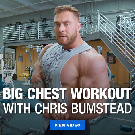 Chris Bumstead takes us through one of his favorite off-season chest workouts that he does to build a thicker dense chest. Give it a shot for yourself! #bodybuilding #fitness #gym #workout #muscles Big Chest Workout, Full Chest Workout, Nutrition Videos, Chris Bumstead, Chest Workout For Men, Muscle Guys, Joe Weider, Best Chest Workout, Muscle Imbalance