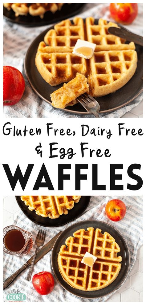 Gluten Free Waffles (Dairy Free and Egg Free) • The Fit Cookie Egg Free Waffle Recipe, Waffles Dairy Free, Egg Waffle Recipe, Sugar Free Waffles, Waffle Mix Recipes, Dairy Free Waffles, Egg Free Breakfast, Belgian Waffles Recipe, Easy Waffle Recipe