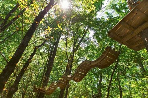 Edge Adventures Indianapolis - Koteewi Park (Noblesville) - 2021 All You Need to Know BEFORE You Go (with Photos) - Tripadvisor Noblesville Indiana, Zipline Adventure, Fossil Hunting, Indiana Travel, Forest Canopy, Forest Park, Adventure Park, Amazing Adventures, Outdoor Adventure