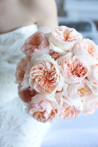 full-pink-peony-bouquet - Once Wed Garden Rose Bouquet, Pink Peonies Bouquet, Bouquet Photography, Blush Bouquet, Garden Rose, Bouquet Ideas, Colorful Roses, Rose Blush, Peonies Bouquet