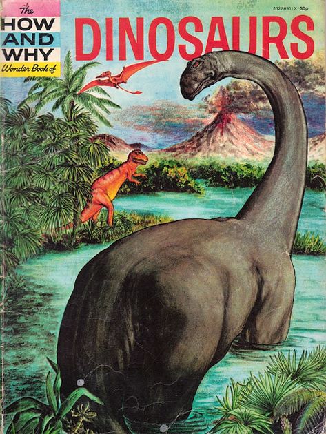 Love in the Time of Chasmosaurs: Vintage Dinosaur Art: The How and Why Wonder Book of Dinosaurs Prehistoric Wildlife, Dinosaur Illustration, Prehistoric World, Wonder Book, Paleo Art, Childhood Books, Dinosaur Art, Prehistoric Creatures, Prehistoric Animals