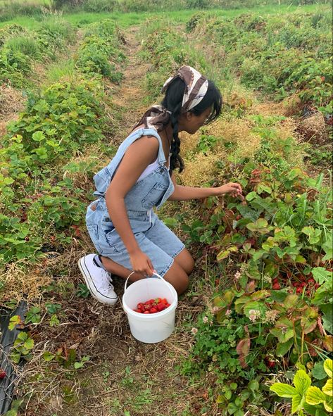 Picking Berries Aesthetic, Picking Strawberries Aesthetic, Berry Picking Photoshoot, Farmer Coquette, Strawberry Farm Aesthetic, Berry Farm Aesthetic, Fruit Picking Aesthetic, Berry Picking Outfit, Berry Picking Aesthetic