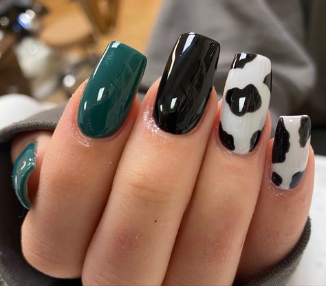 Emerald Green Cow Print Nails, Cow Print Accent Nails, Black Teal Nails, Black And Teal Nail Designs, Green Cow Print Nails, Teal And Black Nails, Black And Teal Nails, Cowprint Nail Design, Cow Print Acrylic Nails