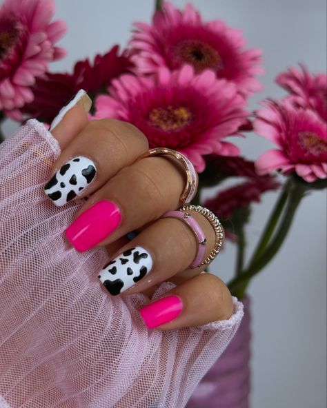 P I N K + 🐄 + an artsy fartsy song #nails #nailart #nailsnailsnails #pinknails #cowprintnails #cows #animalprint #manicure #gelnails #gel #unhas #unhasdecoradas #unhasdegel #unhasrosas Pink Cowprint Nails French Tip, Hot Pink Animal Print Nails, Hot Pink Cow Print Nails, Country Nails, Cow Nails, Print Nails, Animal Print Nails, Pink Animals, Pink Cow