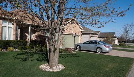 If you don’t have a garage or carport, there are ways to help keep your vehicle safe and stay up-to-date with recommended maintenance. Follow these tips. Remove Tree Sap From Car, Dental Insurance Plans, Car Wash Soap, Car Shelter, Car Protection, Car Wax, How To Protect Yourself, Car Games, Metal Panels