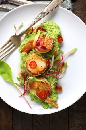 Seared Scallops with Jalapeno-Lime Butter, Pea Purée and Crispy Pancetta Dish Plating Ideas, Festival Food Ideas, Grilled Cheese Sticks, Healthy 2025, Butter Scallops, Pea Puree, Crispy Pancetta, Creamy Peas, Homemade Chocolate Truffles