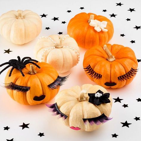 Decorating with pumpkins for Halloween & Thanksgiving #eyelashes #hairbows Fall Lashes, Lash Quotes, Lash Boost, Lash Room, Happy October, October 1st, Best Lashes, Fake Lashes, Rodan And Fields