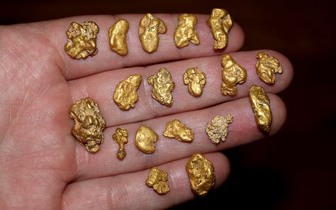 "Several ounces of natural gold nuggets recently found by a gold prospector, raregoldnuggets.com" ^**^ Thar Pics, Gold Mining Equipment, Gold Nugget Jewelry, Gold Vault, Lingot D'or, Natural Gold Nugget, Raw Gold, Welsh Gold, Gold Bullion Bars