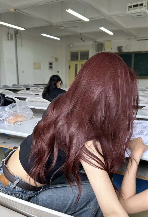 Crown Of Hair Dyed, French Bob With Bangs Red Hair, Light Raspberry Brown Hair, Asian Red Highlights Dark Hair, Brown Hair Colors Aesthetic, Auburn Purple Hair Color, Neutral Red Hair Color, Hair Dye For Light Skin Tone, Cute Natural Hair Color Ideas